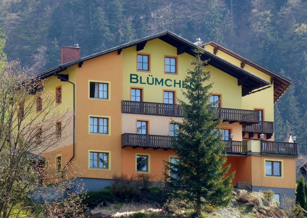 Hotel Blumchen Gaming Exterior foto